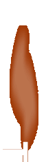 tabaccheria tonelli - pipe sigari tabacchi servizi giochi - fano - pesaro urbino